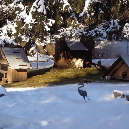 Zum Wasserfall Daire