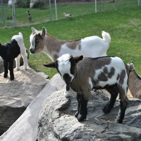 Zum Wasserfall Lejlighed