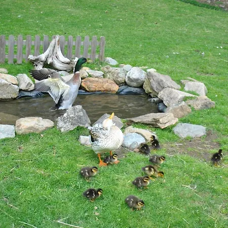 Apartment Zum Wasserfall *