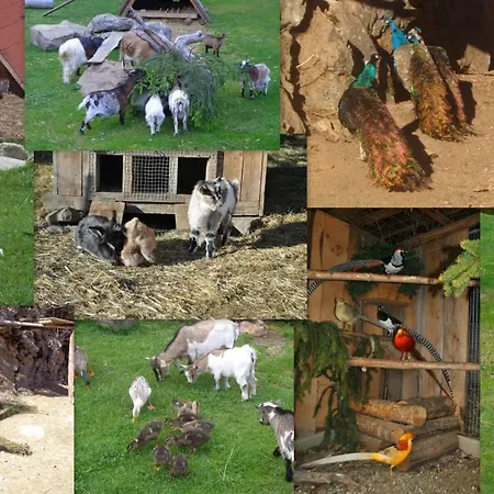 Zum Wasserfall Appartement