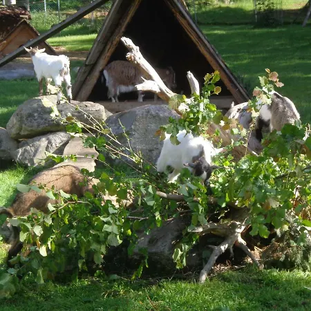 Zum Wasserfall * Krakaudorf