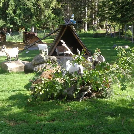 Zum Wasserfall Appartement *