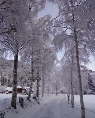 Appartement Zum Wasserfall *