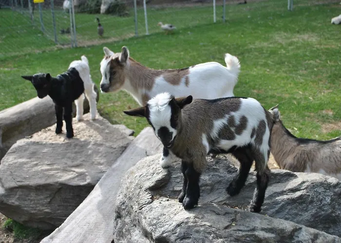 Zum Wasserfall Apartman