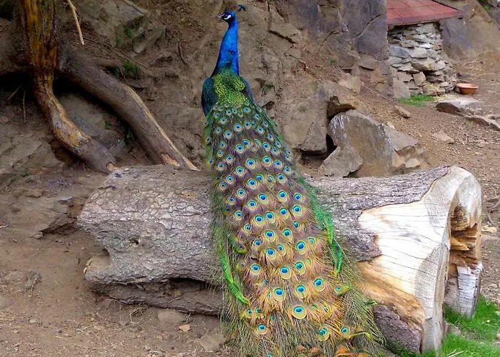 Zum Wasserfall Apartman