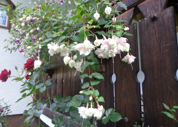 Zum Wasserfall * Krakaudorf