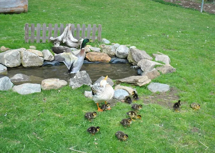 Apartman Zum Wasserfall *