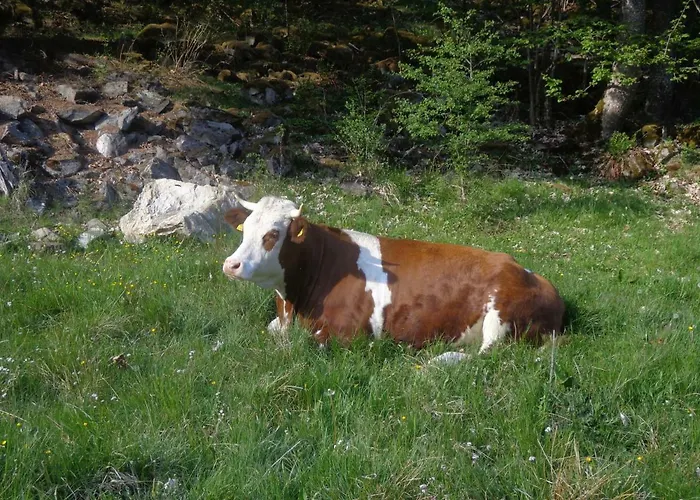 Zum Wasserfall Apartman *