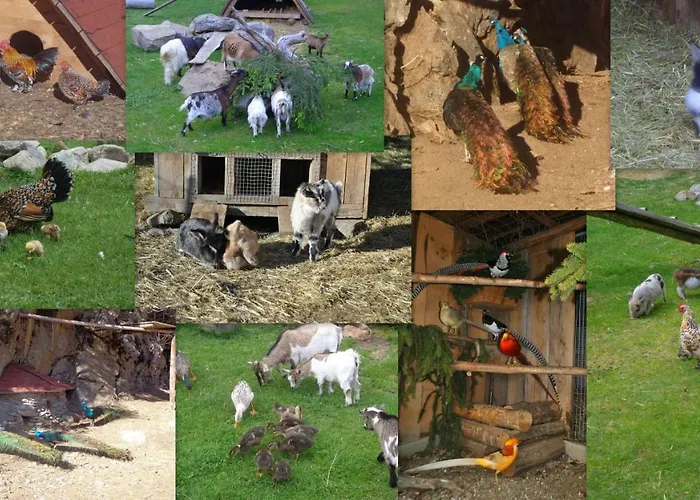 Zum Wasserfall Apartman