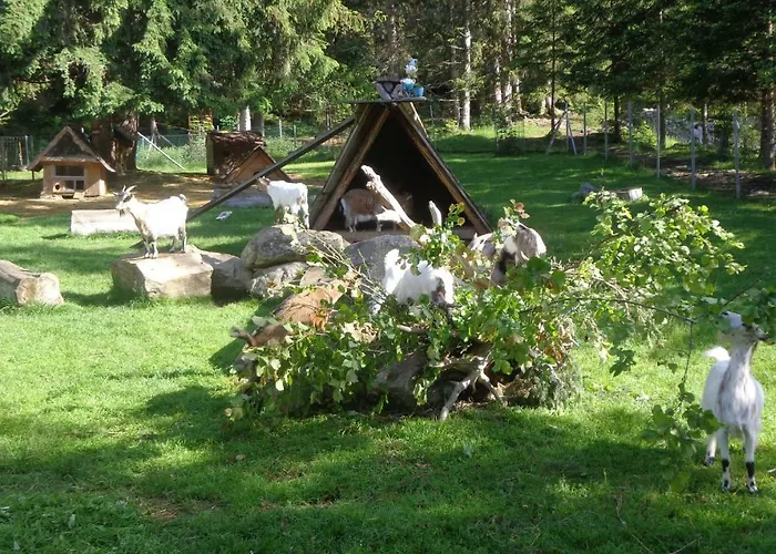 Zum Wasserfall Apartman *